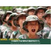 苏州暑假军事训练夏令营三六六教社会实践课火热报名中