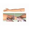KAY-F1高外缝合手臂模型-上肢缝合练习模型