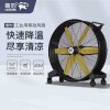 雷豹EF4822移动工业大风扇